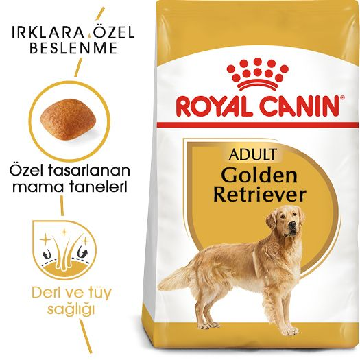 Golden Retriever Adult Yetişkin Köpek Kuru Maması