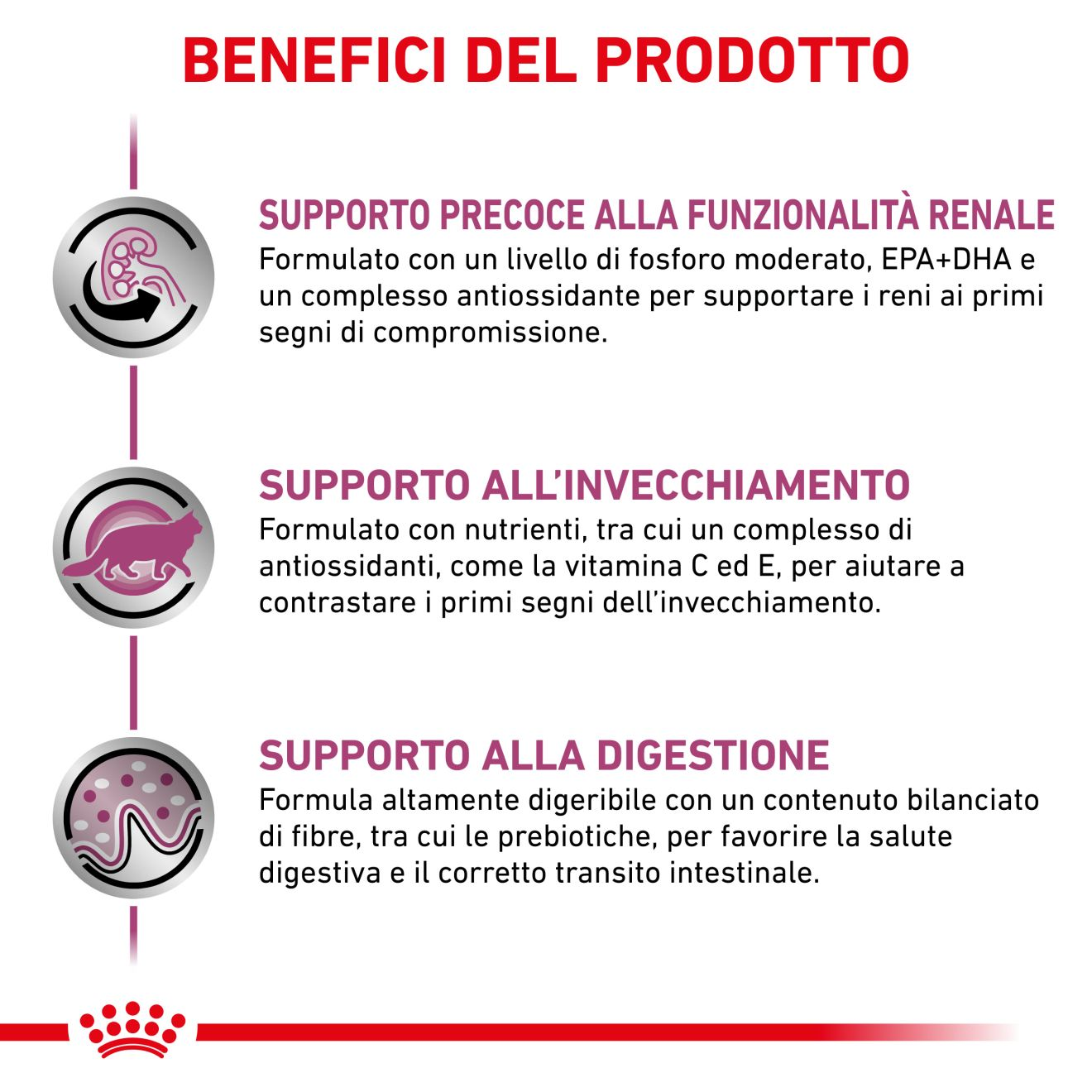 Early Renal straccetti in salsa