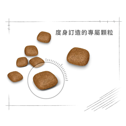 Royal-Canin_成貓亮毛及皮膚加護配方_正方形_HK_04
