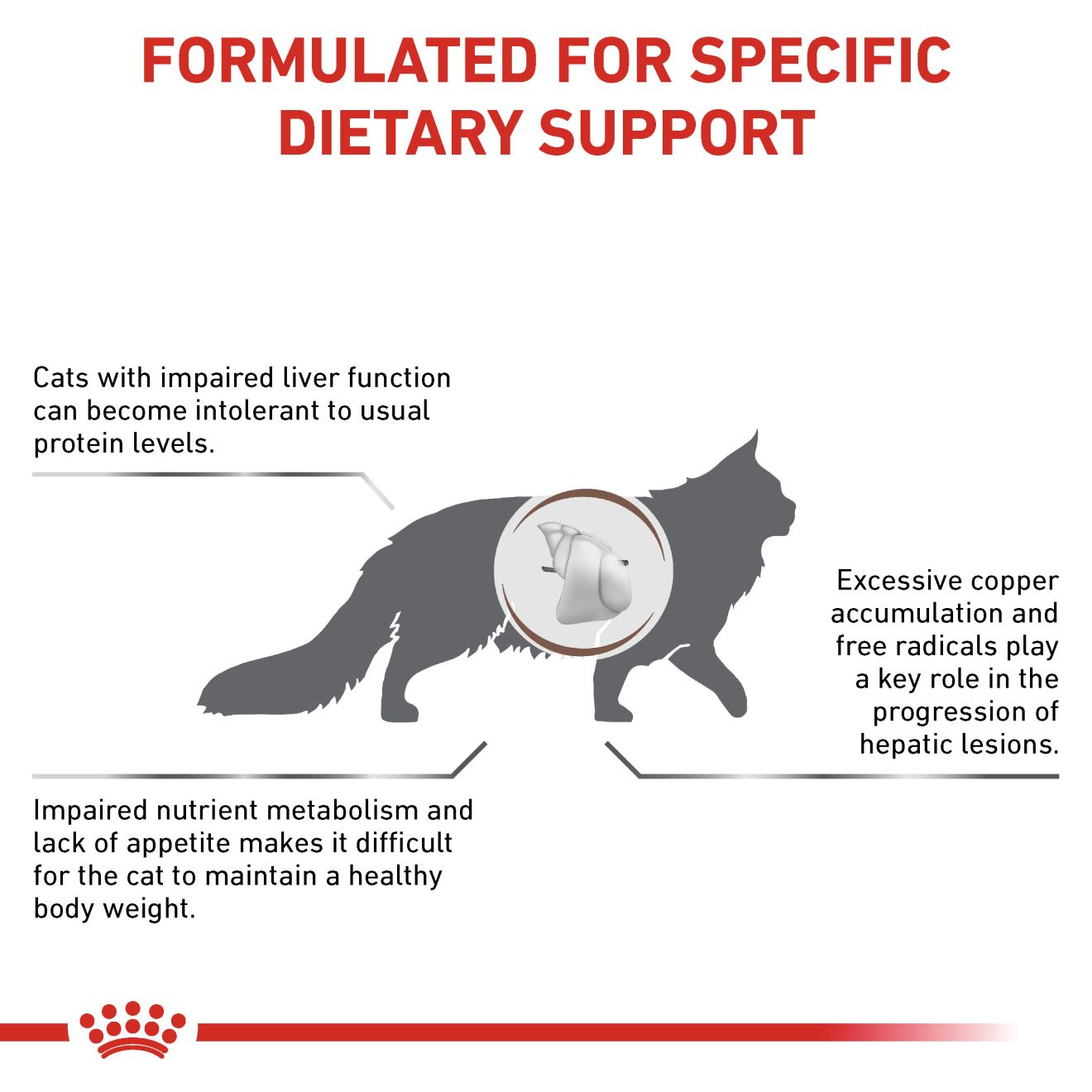 HEPATIC für Katzen