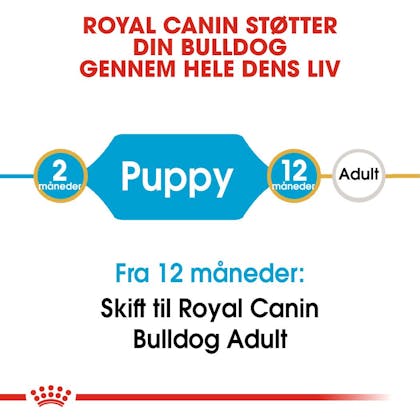 RC-BHN-PuppyBulldog-CM-EretailKit-1-da_DK
