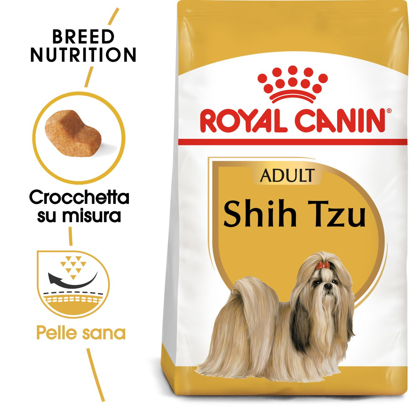 Shih Tzu Adult