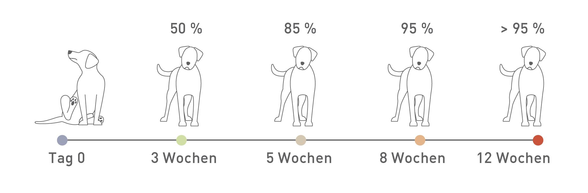 Zeitleiste Verlauf der klinischen Verbesserung nach der Dauer der Verteilung einer Eliminationsdiät