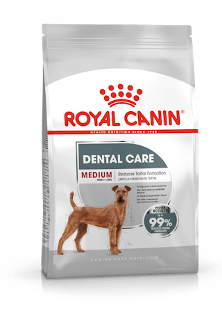 Royal Canin Medium Dental Care kuivtoit
