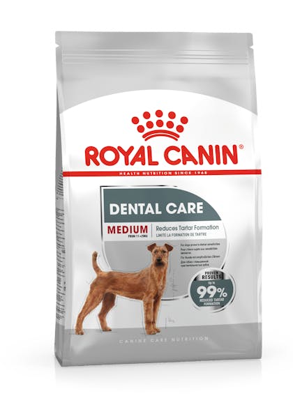 MEDIUM DENTAL  CCN PACKSHOT