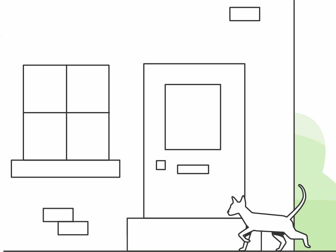 Illustration of a cat walking past a building