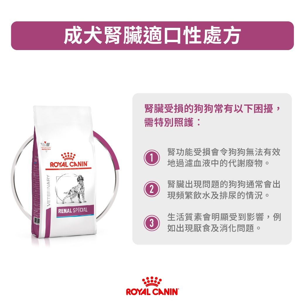 成犬腎臟適口性處方
