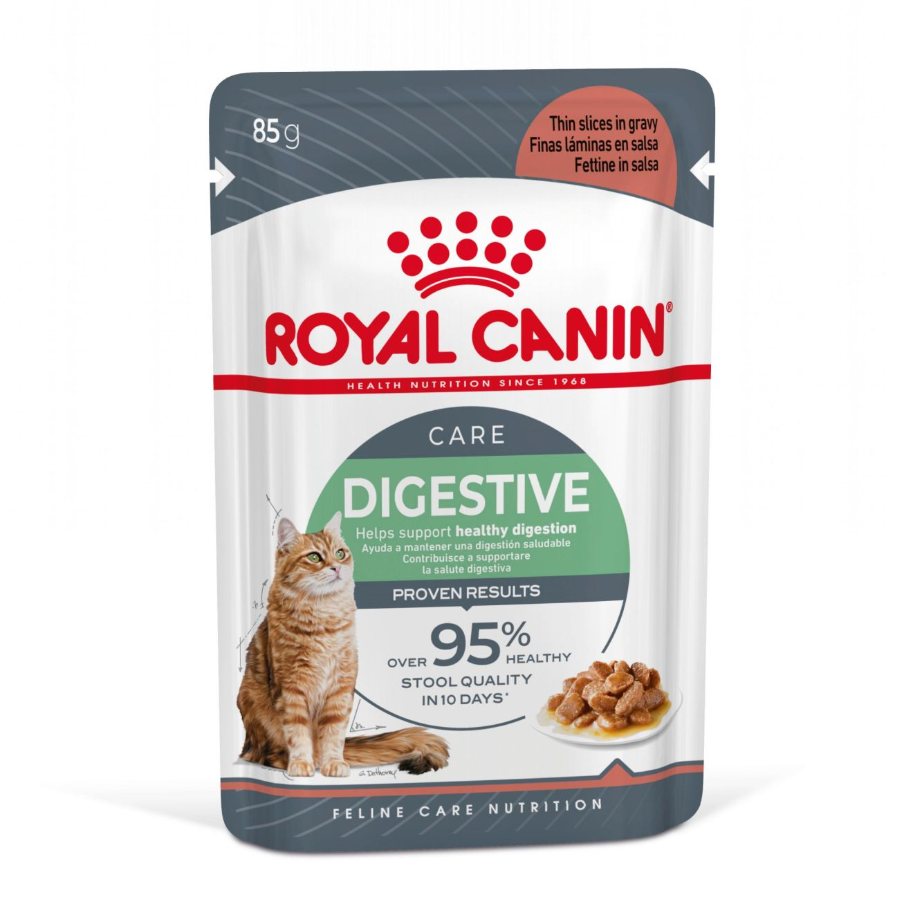 Digestive Care Gravy Adult 