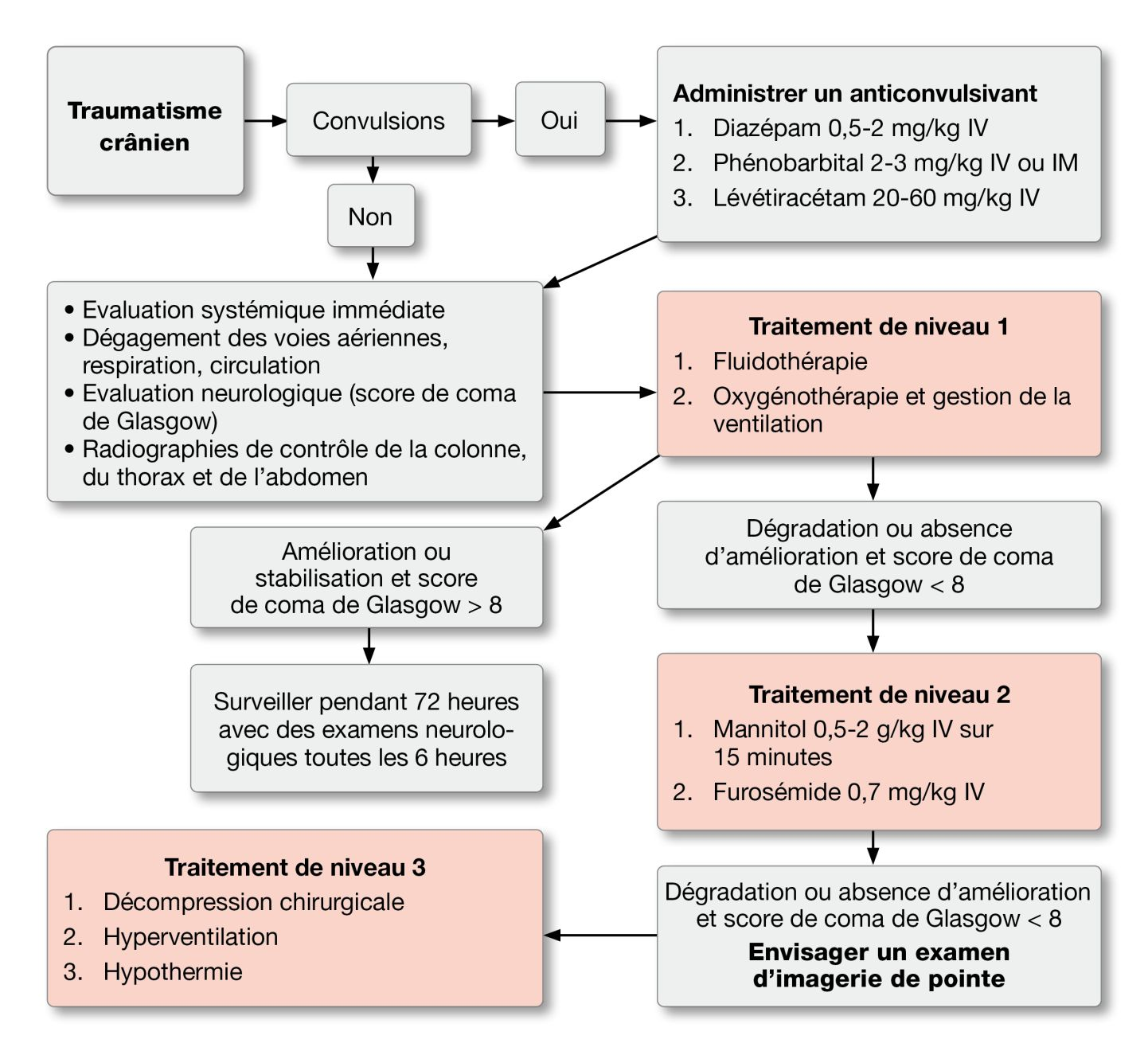 Figure 4. Le traitement du traumatisme crânien doit s’établir selon 