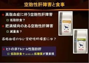 349-japan-local-ca-vet-carbs