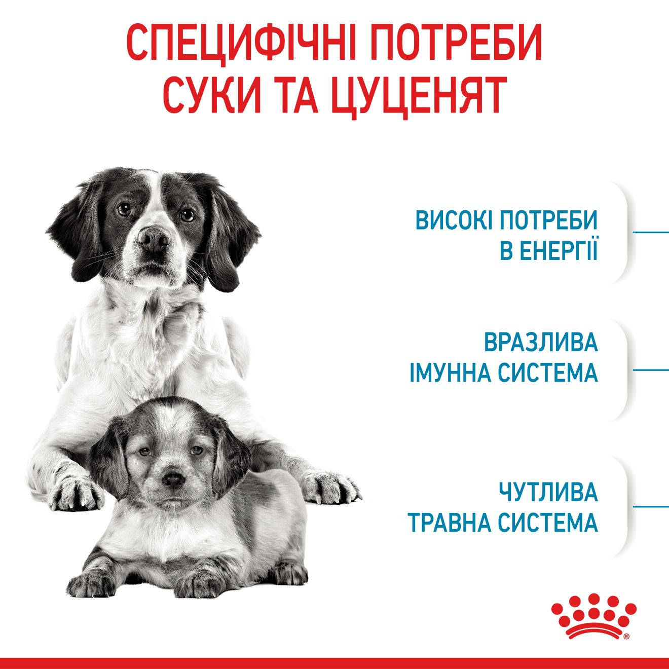 Starter Mother & Babydog - Medium