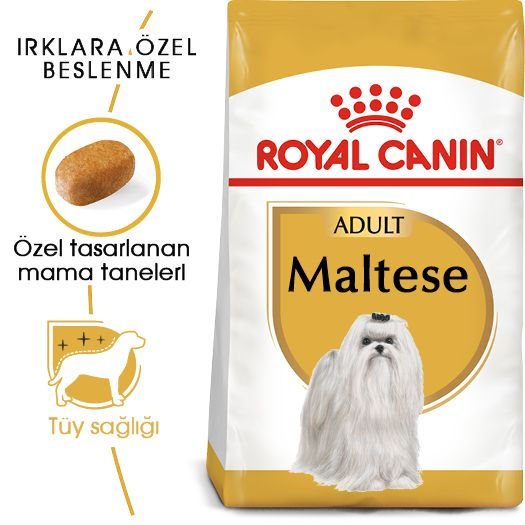 Maltese Adult Yetişkin Köpek Kuru Maması