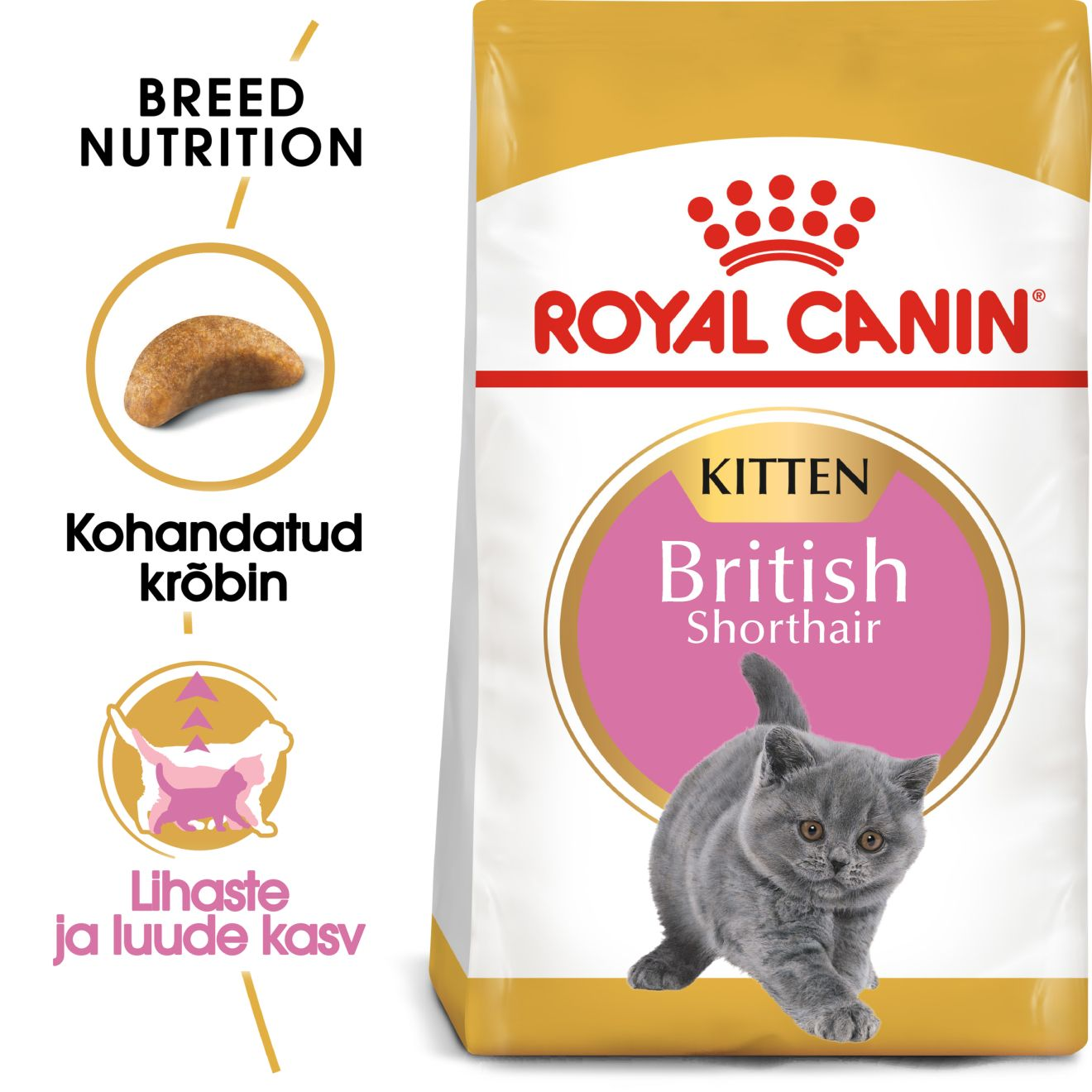 Royal Canin British Shorthair Kitten kuivtoit