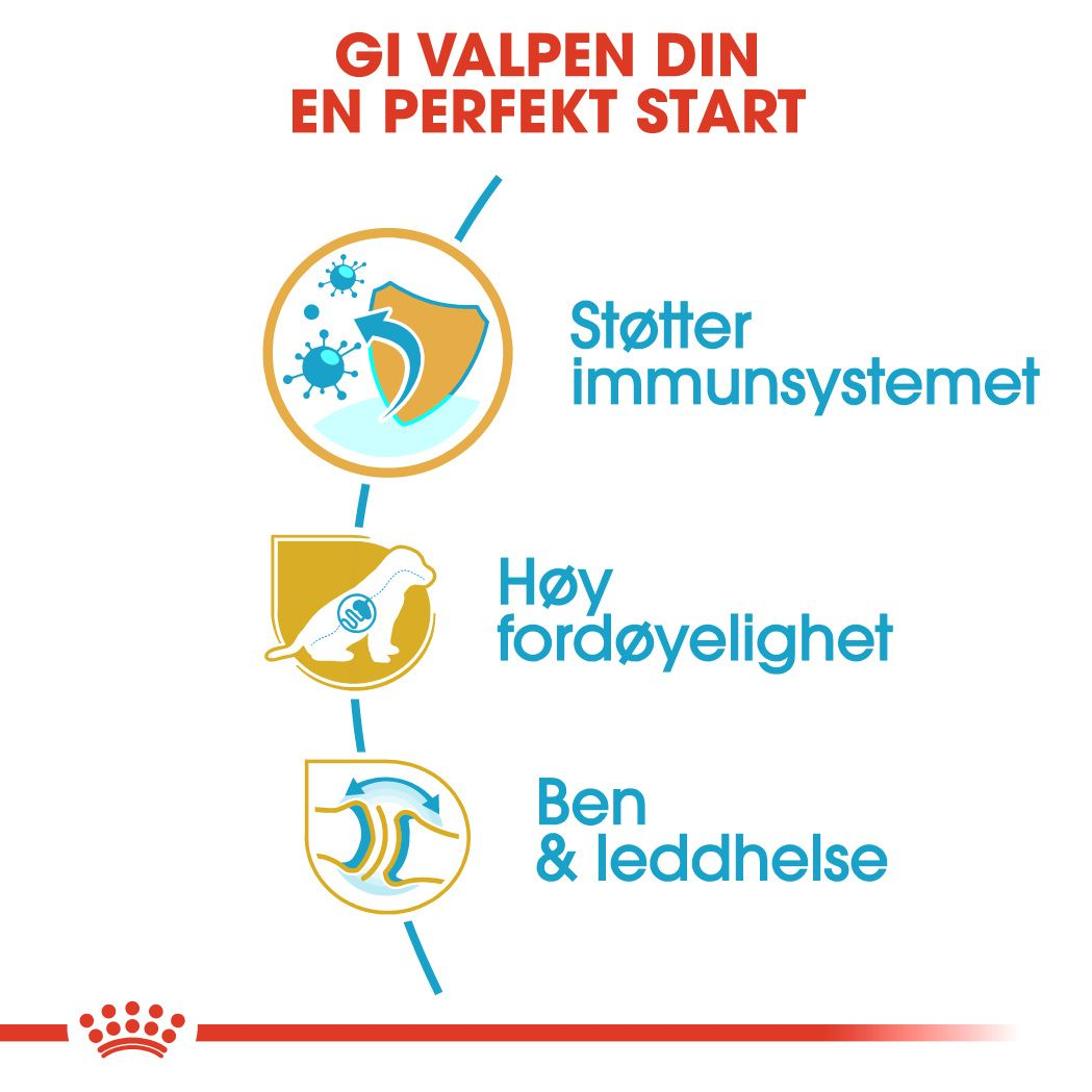 German Shepherd Puppy