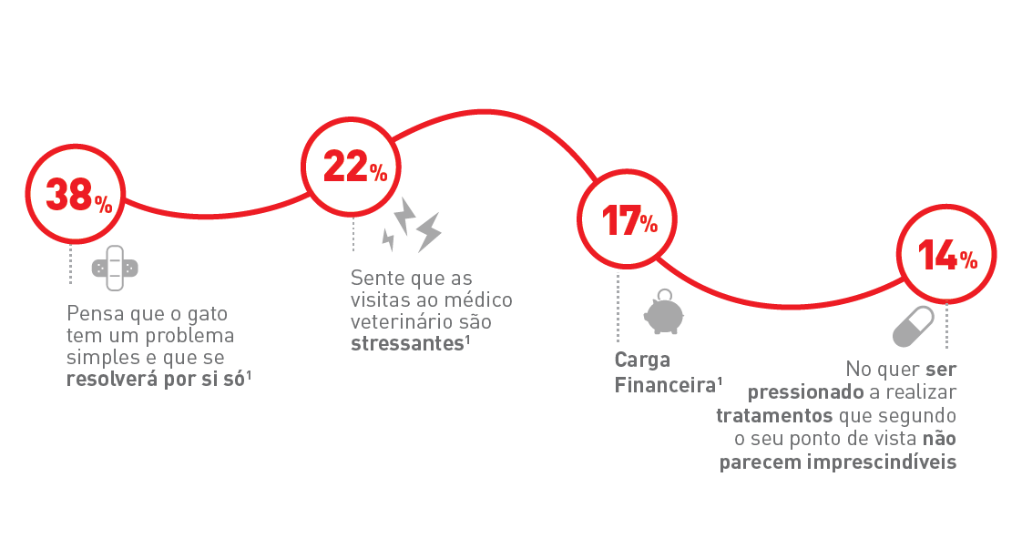 Infographic “Reasons why cat owners are postponing their visit to the vet”