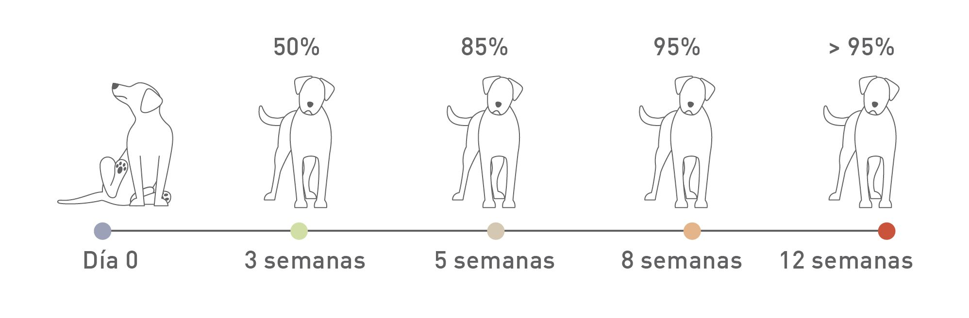 Línea de tiempo que muestra la mejoría clínica tras la duración de la distribución de una dieta de eliminación