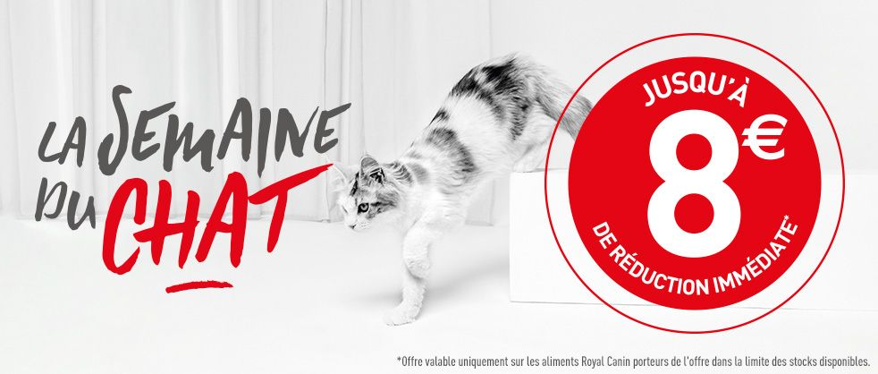 Royal Canin organise la 8ème édition de la Semaine du Chat  du 14 octobre au 9 novembre 2024 