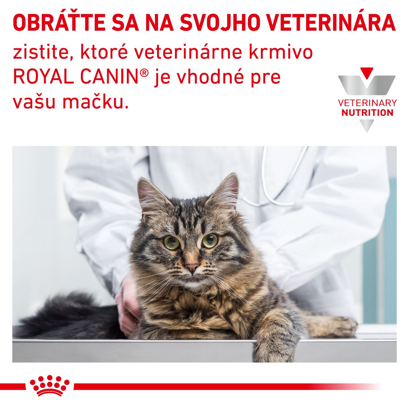 VHN Cat Hypoallergenic