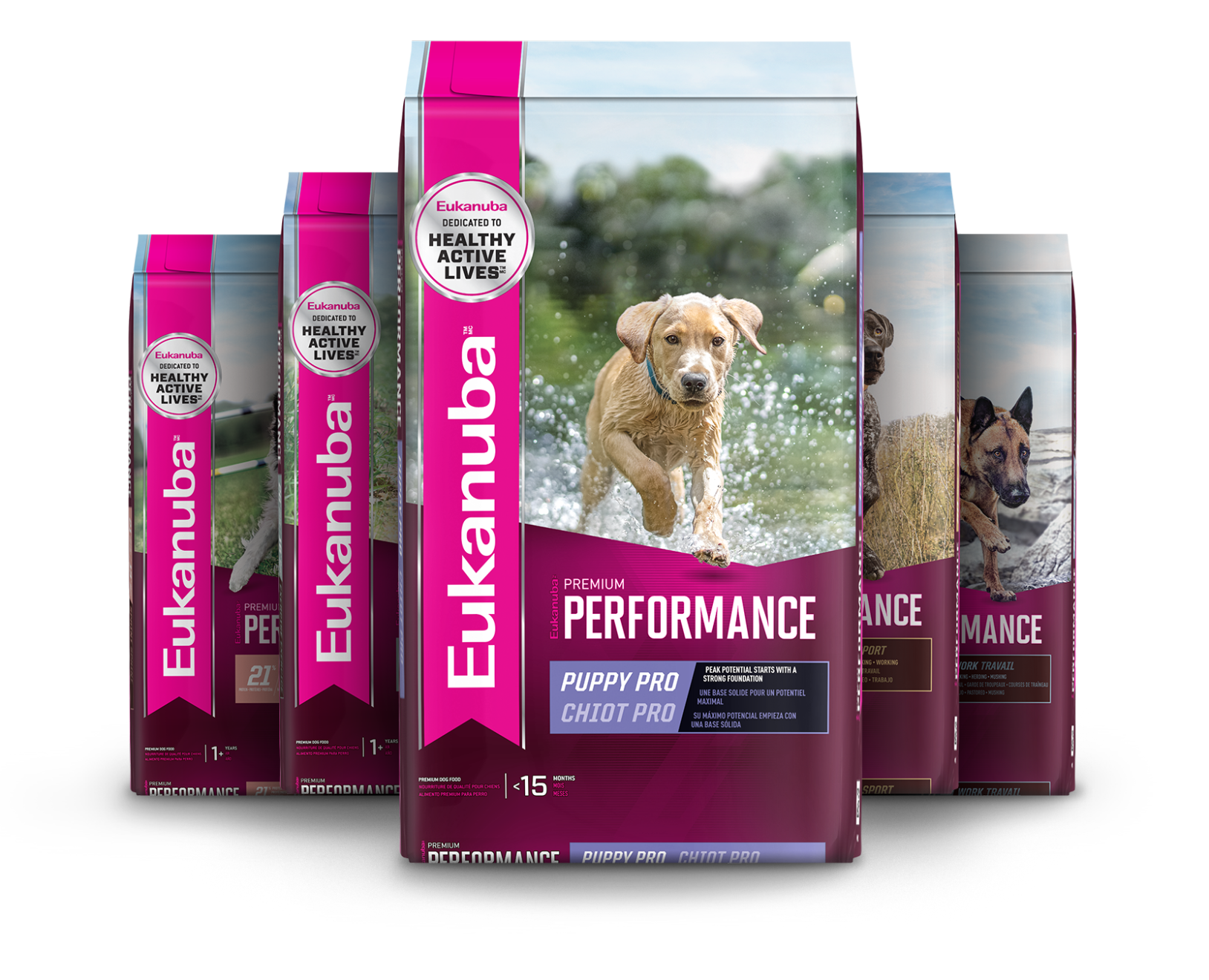 Eukanuba high clearance performance