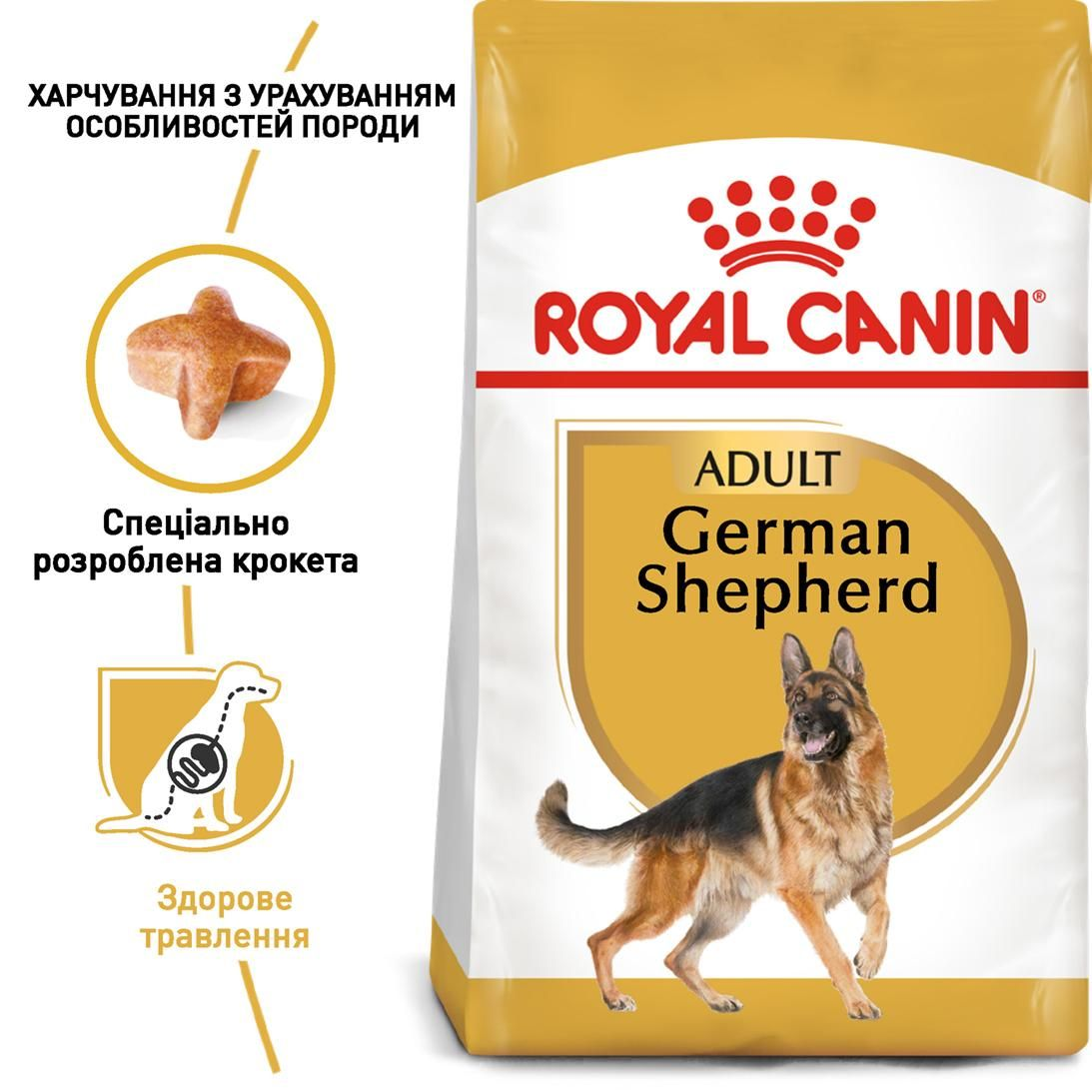German Shepherd Adult