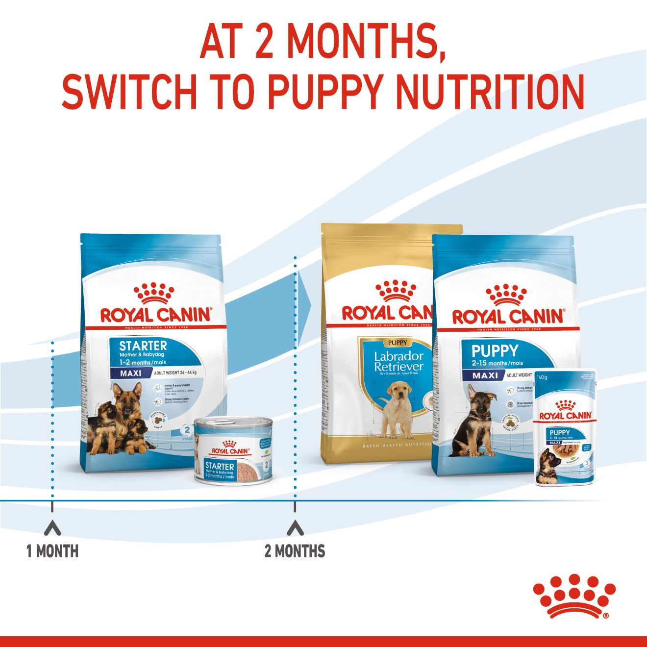 1 month puppy outlet food