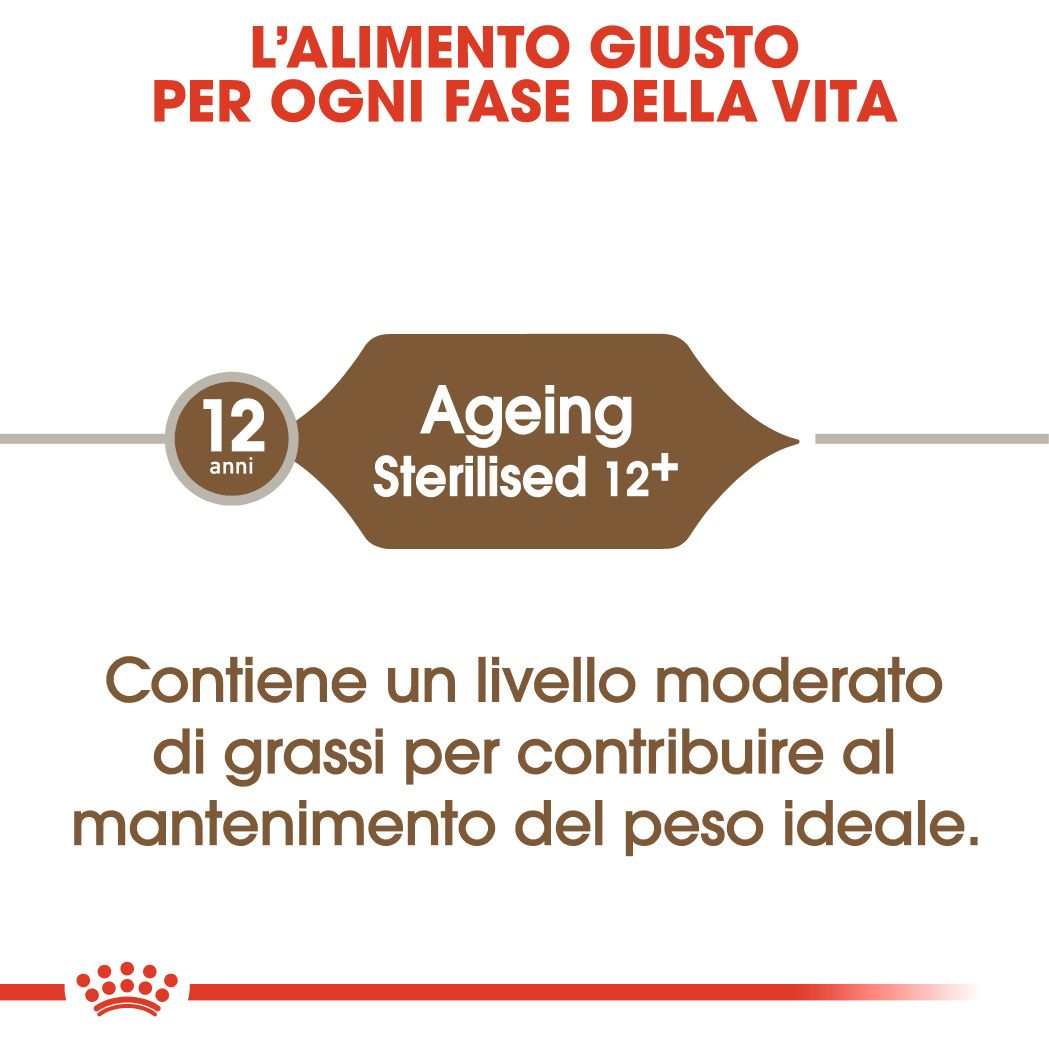Sterilised Ageing 12+: cibo secco gatto sterilizzato | Royal Canin IT