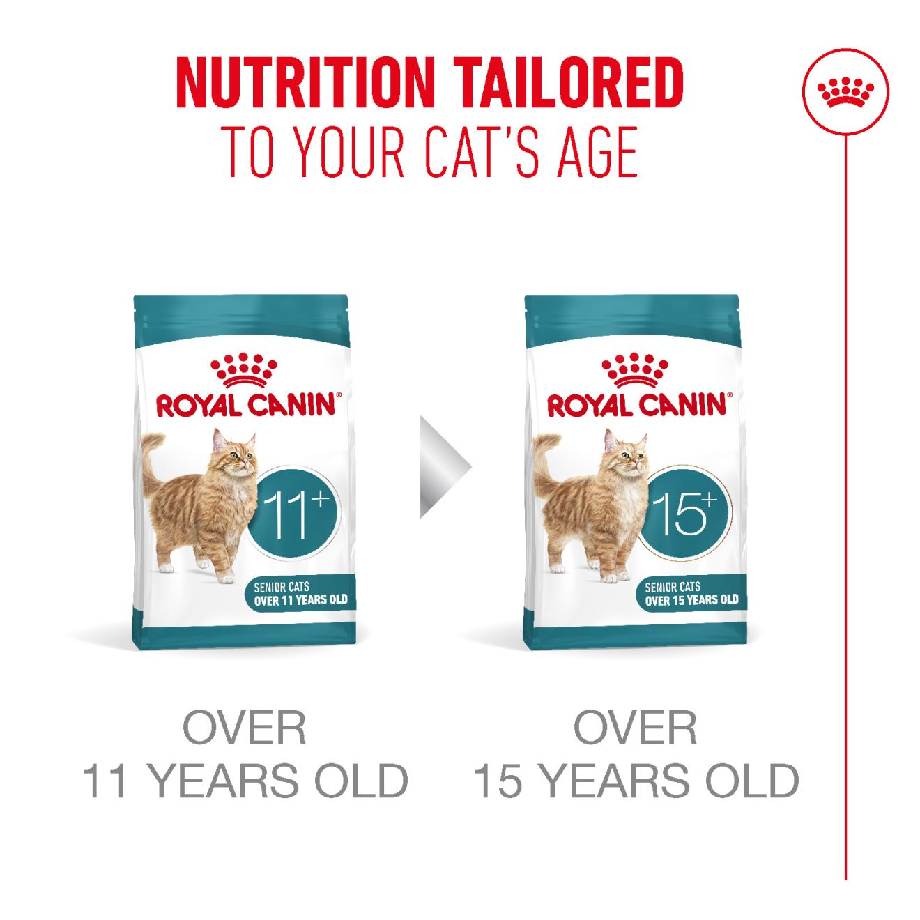 AGEING 11+