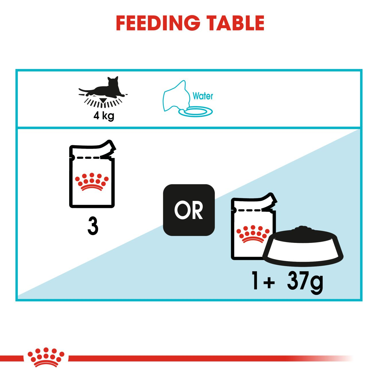 Feeding table 2024 for cats