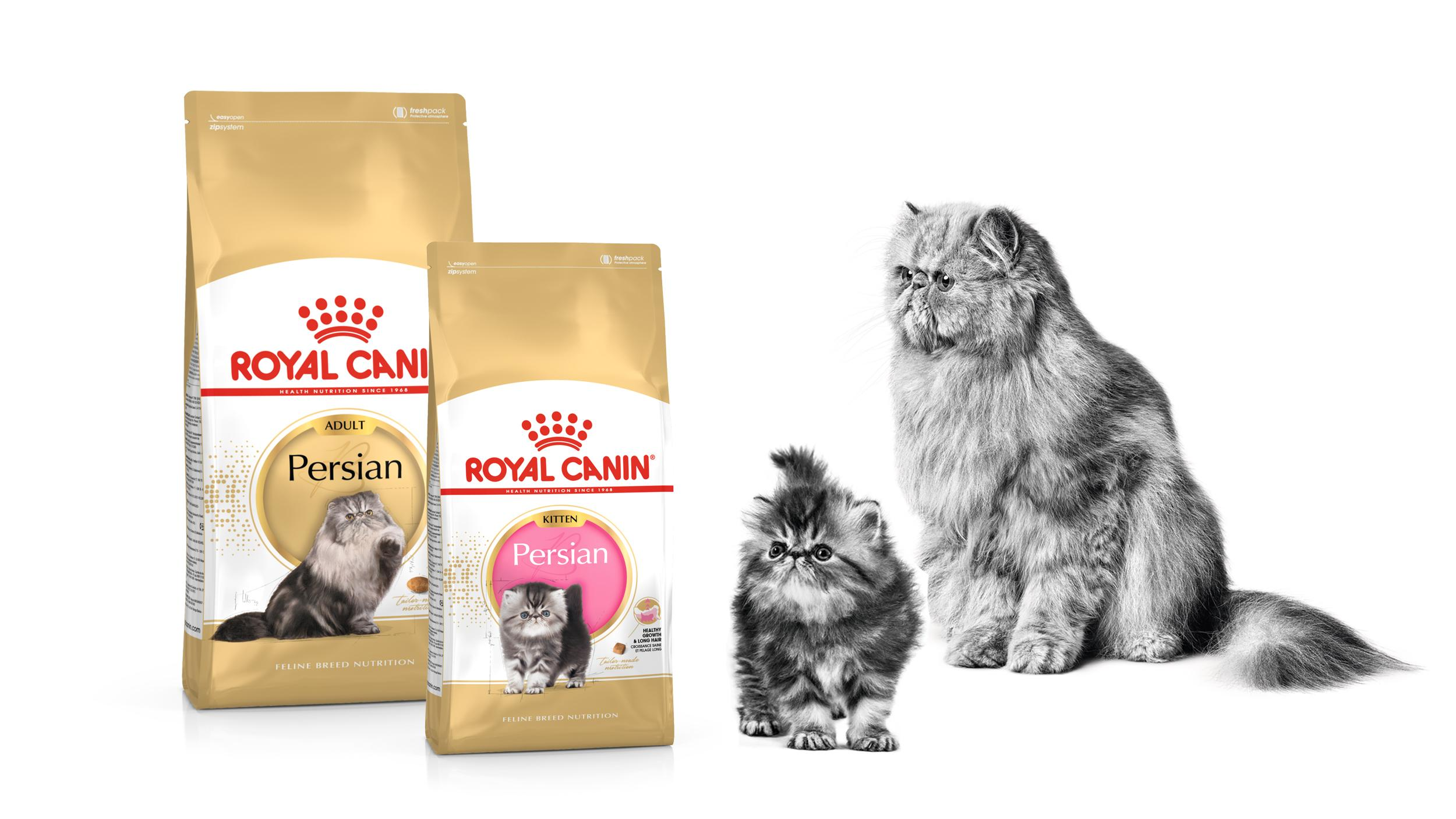 Makanan Kucing Dan Anak Kucing Royal Canin