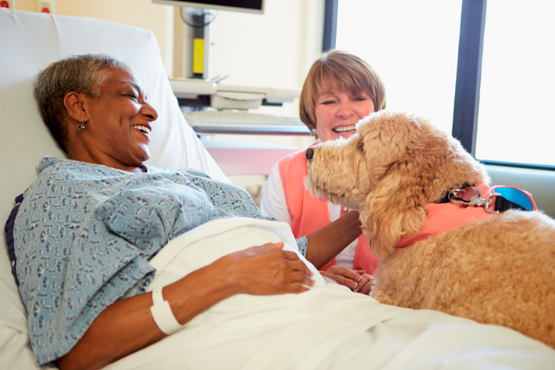 Hospitalized patients can be at risk of contracting a resistant bacterial infection from animals they are in contact with; however it is also possible that a patient could transfer bacteria to an animal.