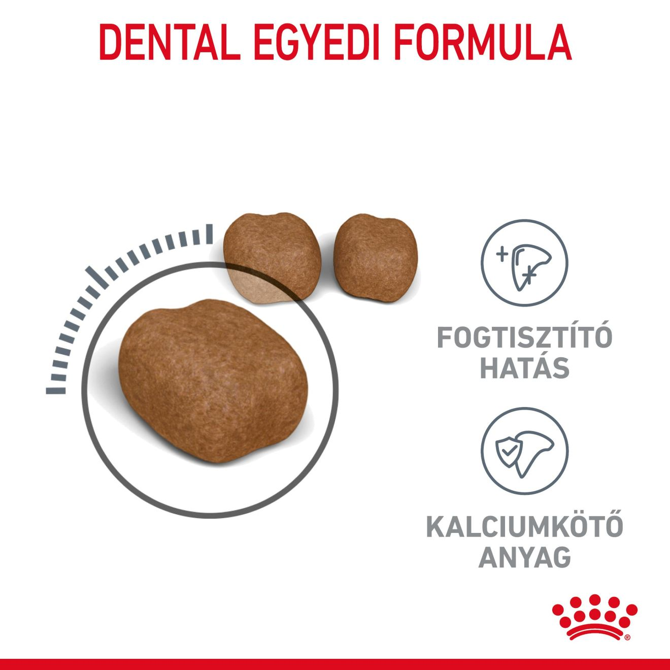 Dental Care
