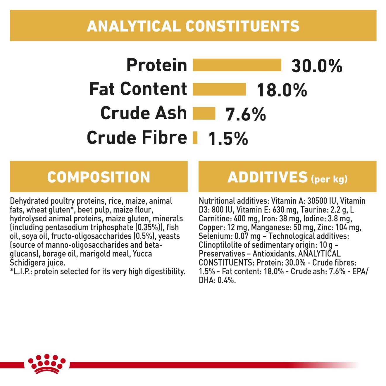 Cavalier King Charles Puppy