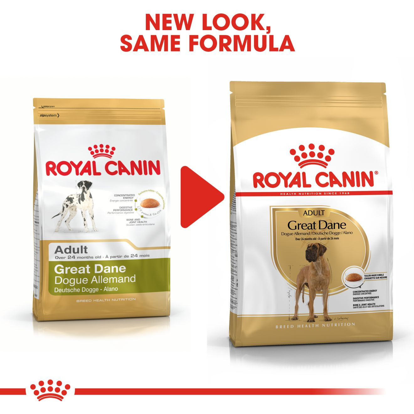 royal canin great dane dog food