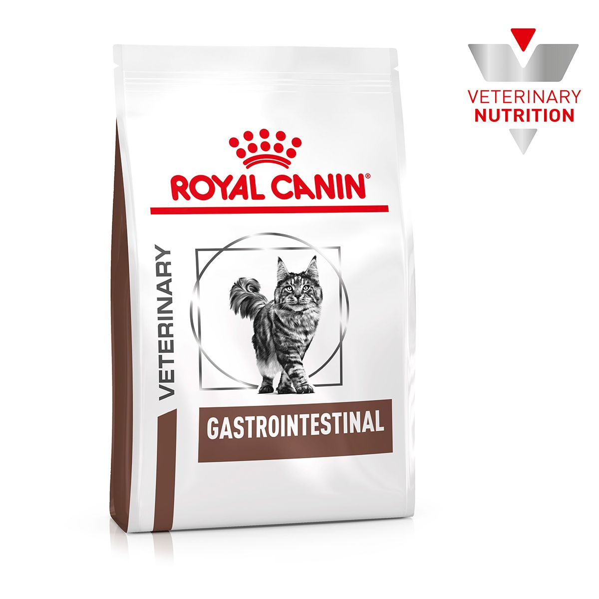 Gastro-Intestinal Feline