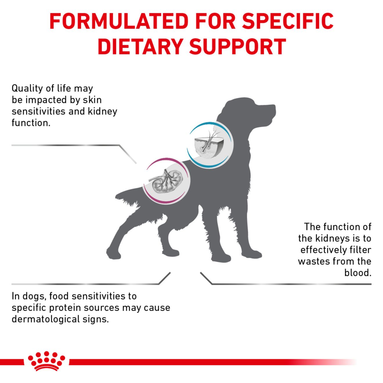 Canine Renal Support Hydrolyzed Protein Royal Canin US