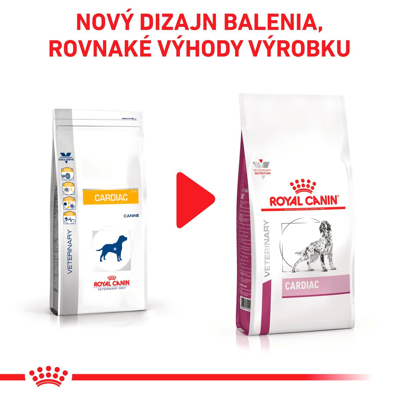 VHN Dog Cardiac