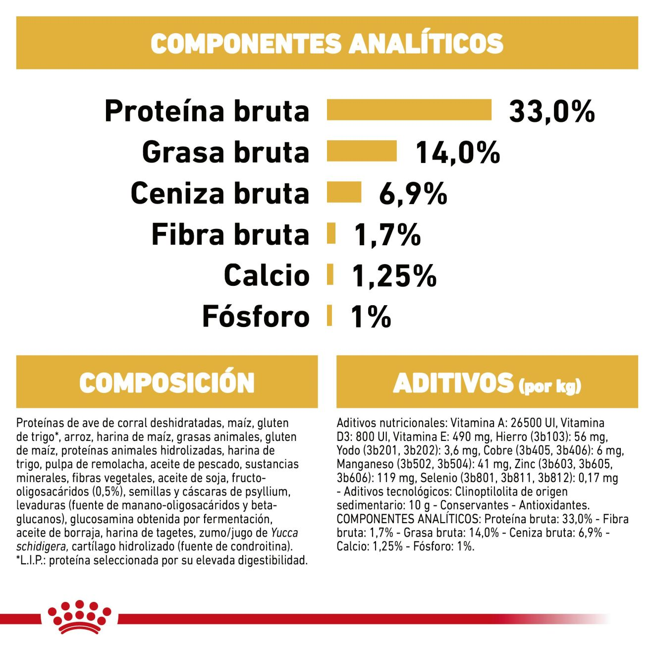 Labrador Retriever Puppy