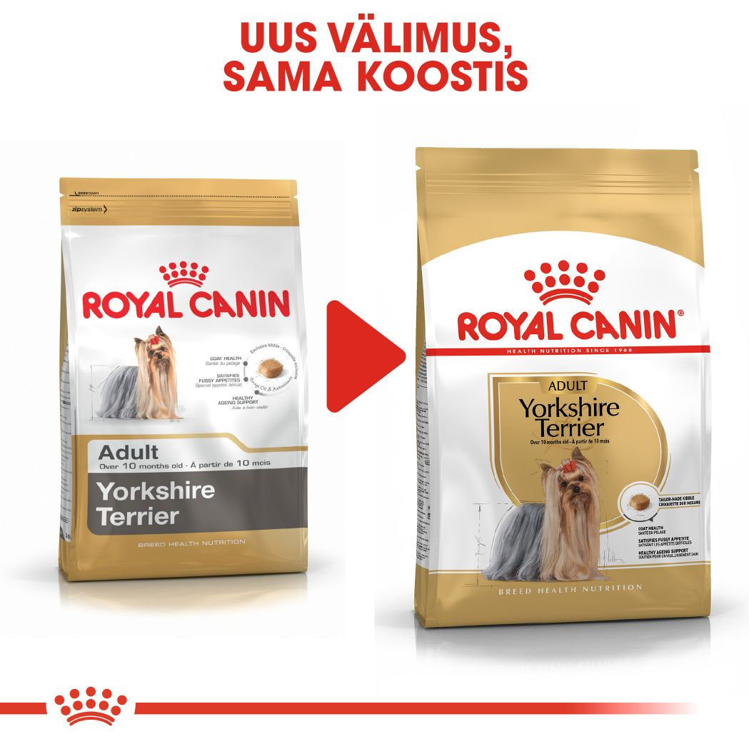 Royal Canin Yorkshire Terrier Adult kuivtoit