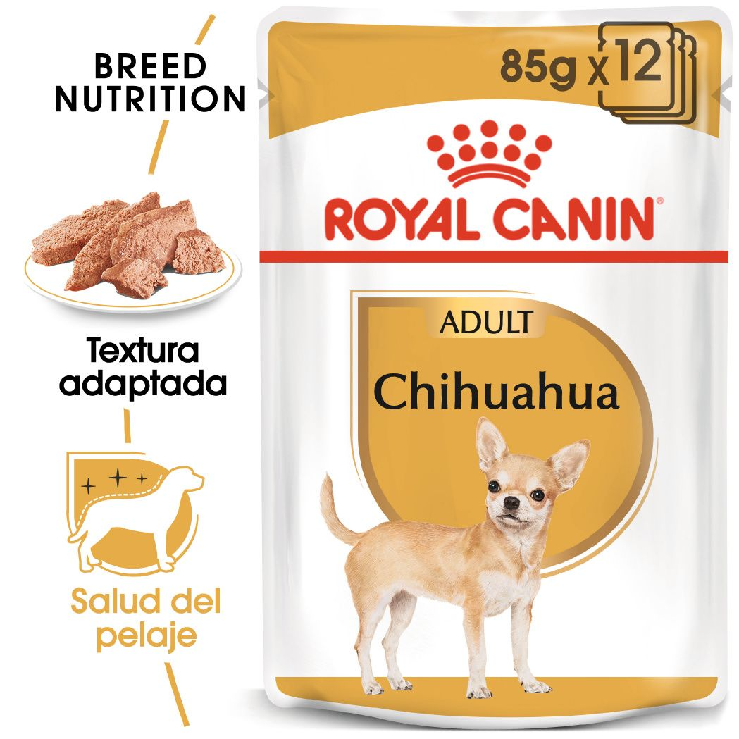 Chihuahua