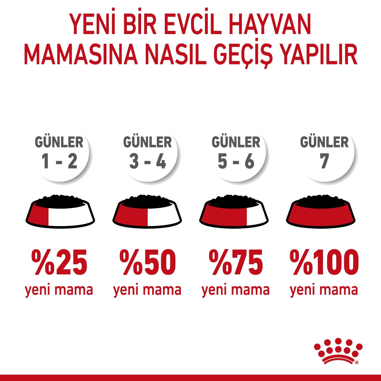 Kitten Gravy Yavru Kedi Yaş Maması