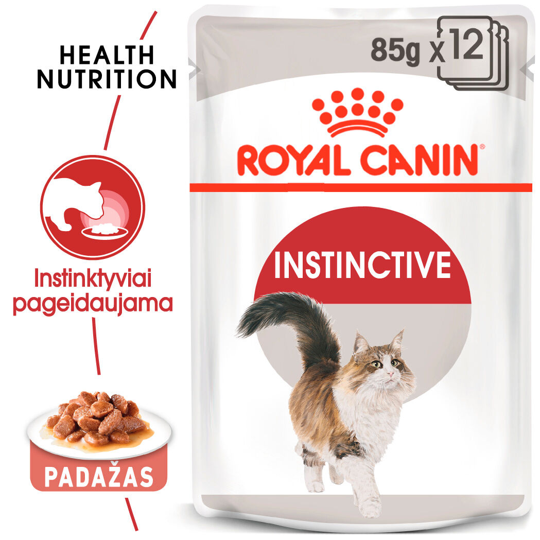 Instinctive Gravy