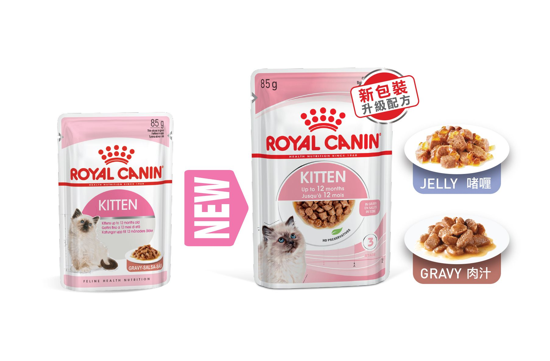 Royal canin shop kitten in gravy