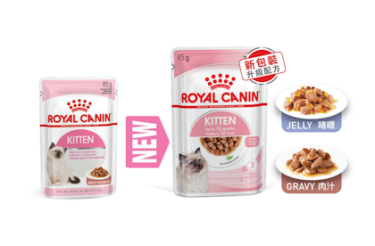 Royal canin shop fhn kitten