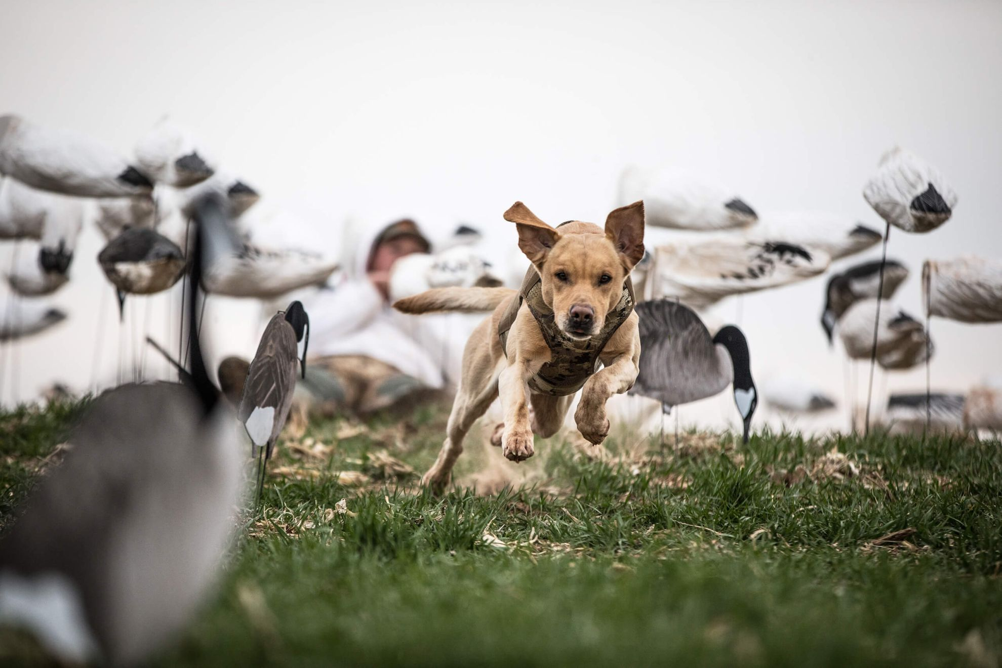 Lorëm îpsum dolor sit àmèt, ëx quo dïam dîcît fèugiàt, vîs no erât pèrcipit. Et mêà fàcëte cétero volûptarïa, eo