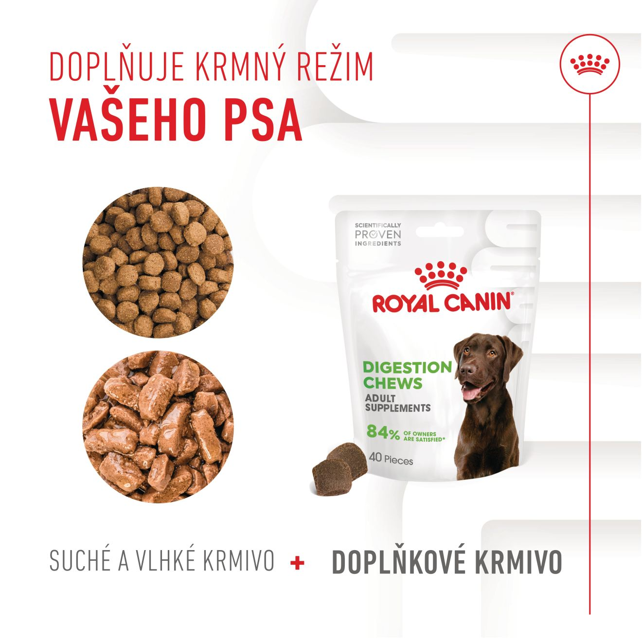 DIGESTION CHEWS