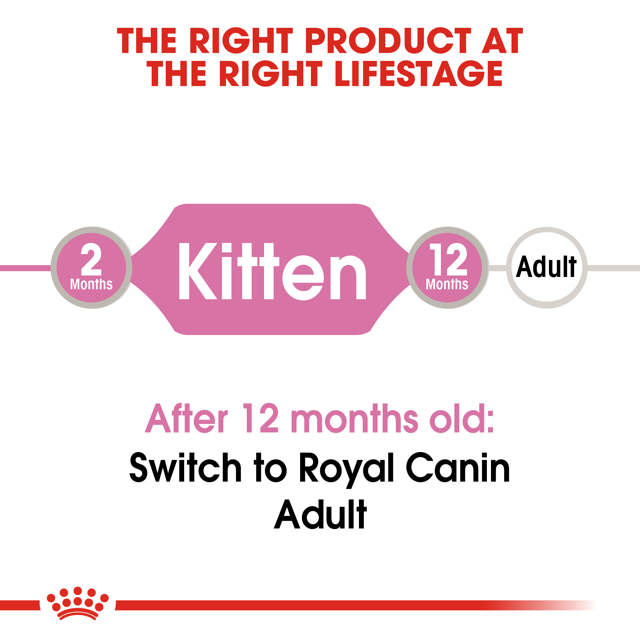 Kitten Jelly Basah Royal Canin