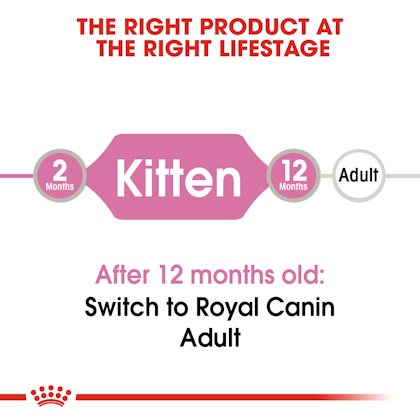 Kitten Jelly Basah Royal Canin