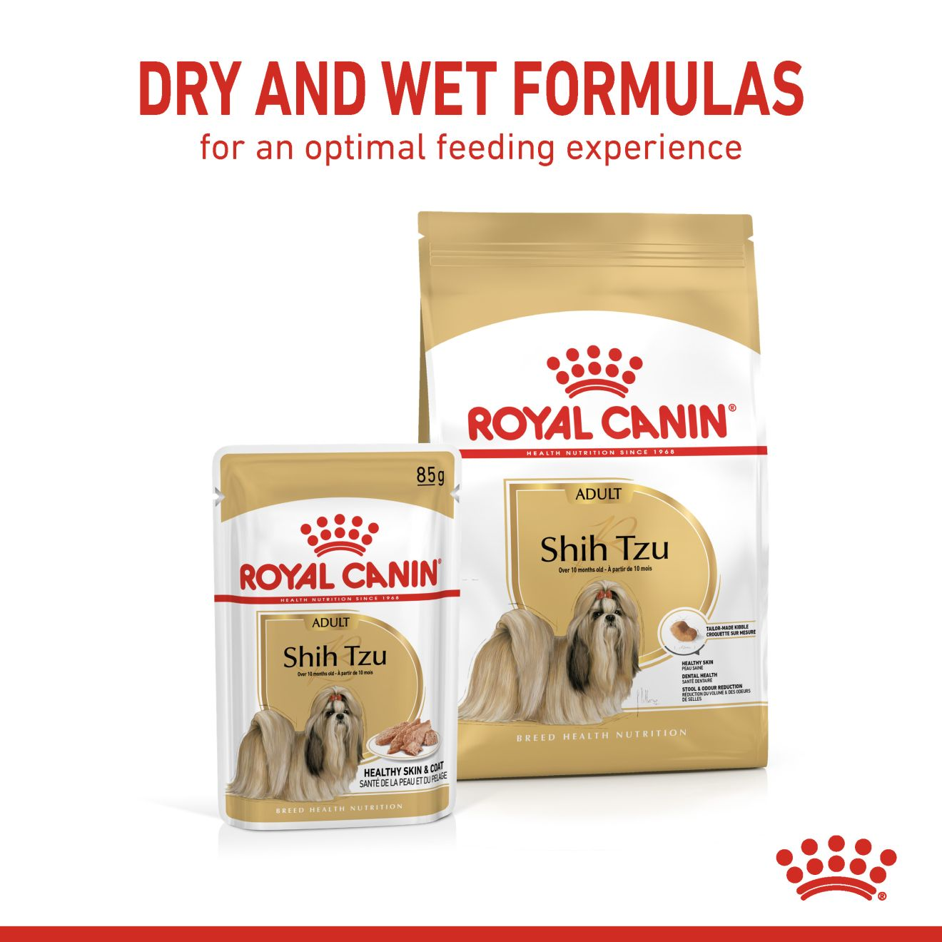 Royal canin hotsell shih tzu food