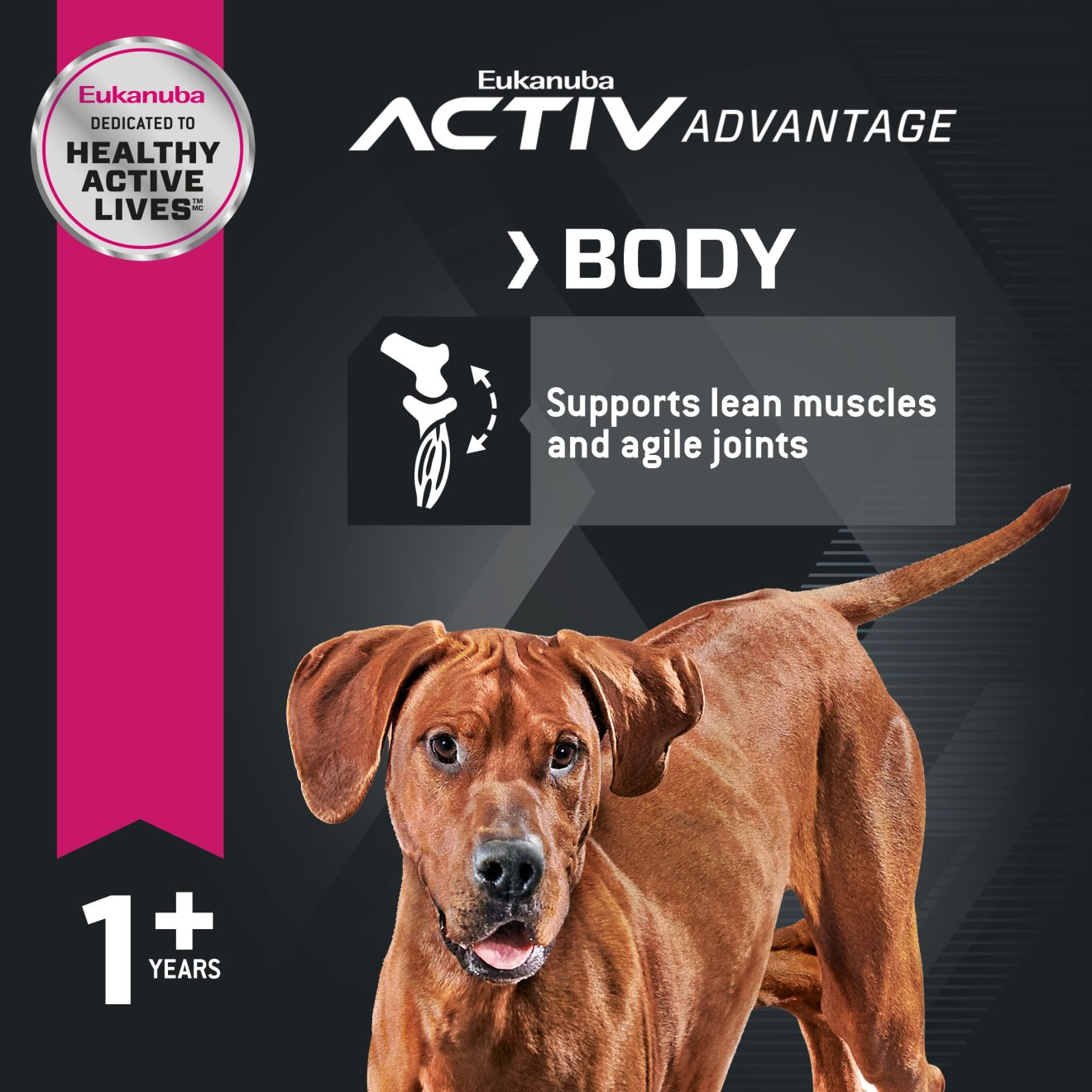 Eukanuba™  ADULT LARGE BREED 