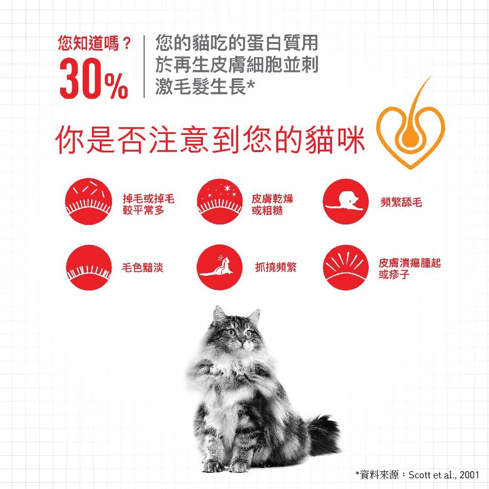 FCN 成貓亮毛及皮膚加護主食濕糧（肉汁）